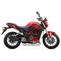 Benelli BN 251