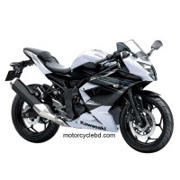 Kawasaki Ninja RR Mono ABS