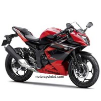 Kawasaki Ninja RR Mono