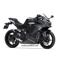 Kawasaki Ninja ZX-25R