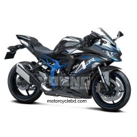 Kawasaki Ninja ZX-4R
